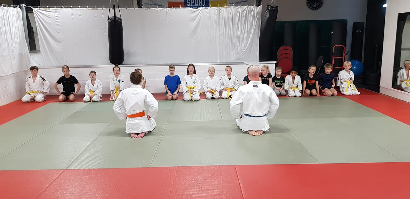 Budokai Sportpas ju jitsu 2020